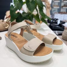 Igi & Co 1161622 Cream