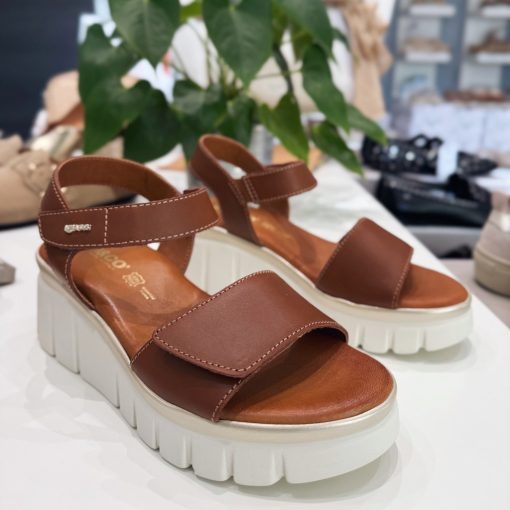 Igi & Co 1189511 Cognac