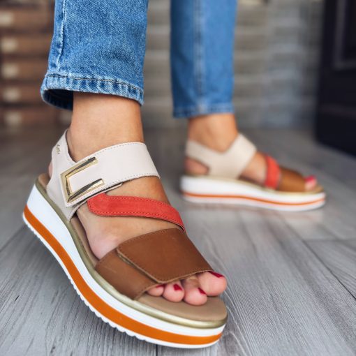 Igi & Co 7687600 Multi