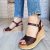 Lorenzo de' Pazzi 2444 Brown