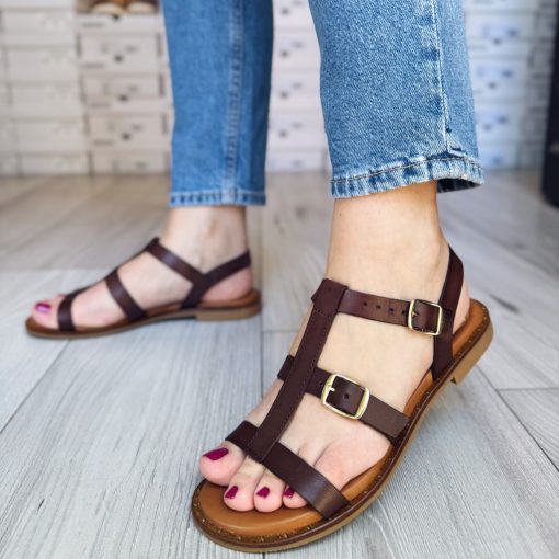 Lorenzo de' Pazzi 2453 Brown