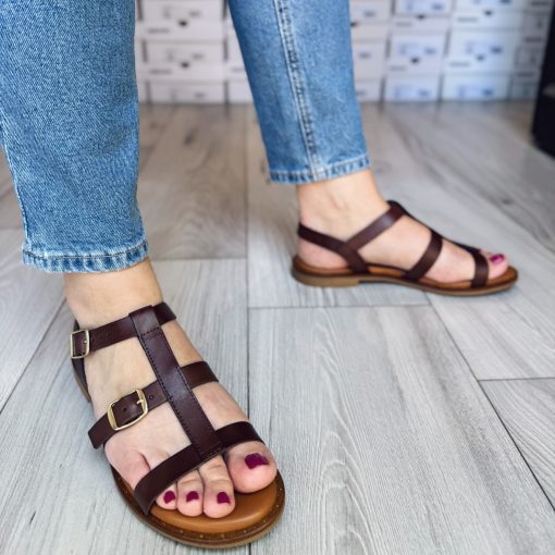 Lorenzo de' Pazzi 2453 Brown