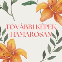 Tutto Bene Scarpe 1750 Beige